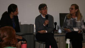 3 women speaking on a panel
